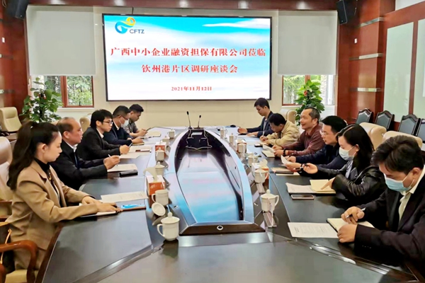中小擔保領導率隊到中國（廣西）自由貿(mào)易試驗區(qū) 欽州港片區(qū)開展調研座談會