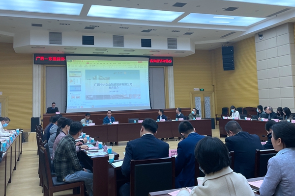 中小擔保南寧營業(yè)部應(yīng)邀參加廣西—東盟經(jīng)濟技術(shù)開發(fā)區(qū)金融服務(wù)實體經(jīng)濟對接會